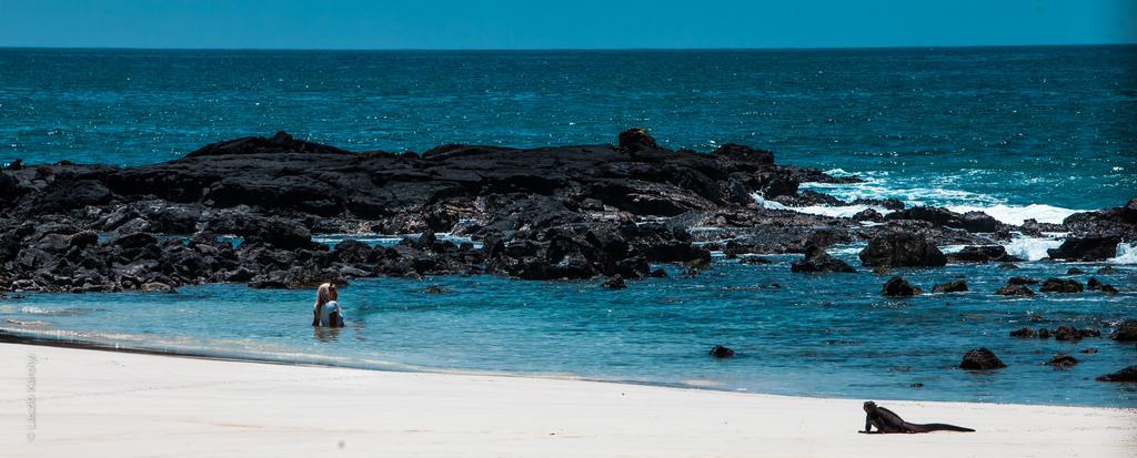 Iguana Crossing Boutique Hotel Puerto Villamil Eksteriør bilde