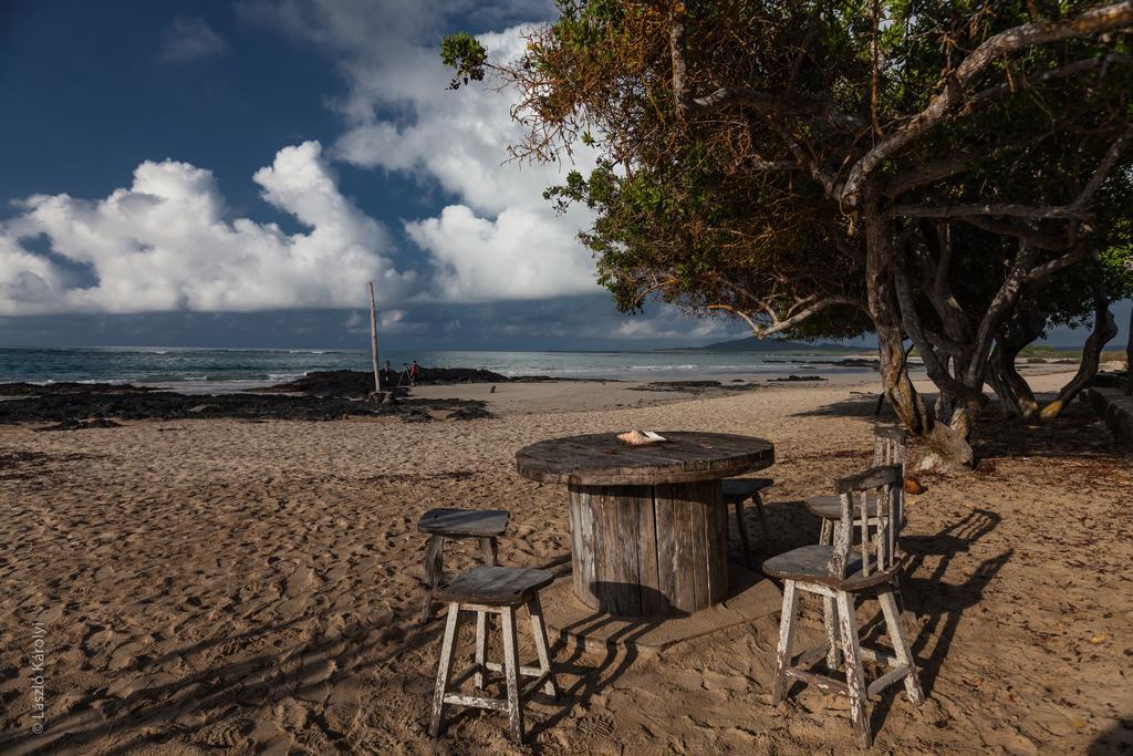 Iguana Crossing Boutique Hotel Puerto Villamil Eksteriør bilde