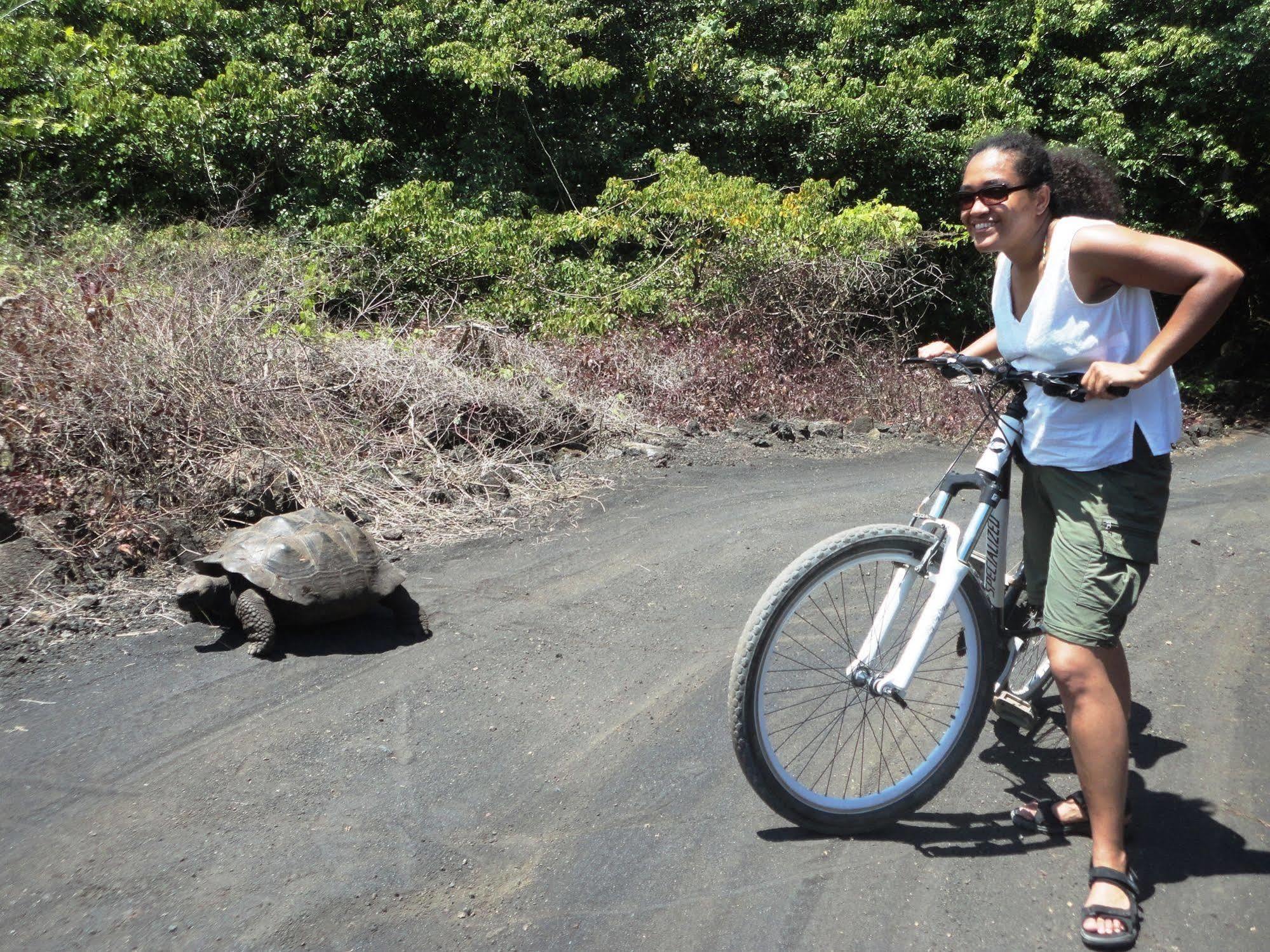 Iguana Crossing Boutique Hotel Puerto Villamil Eksteriør bilde